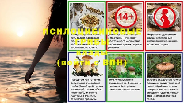 spice Карталы