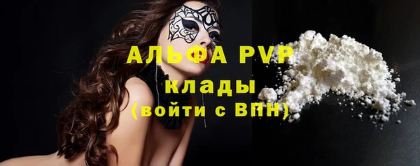 стаф Карпинск