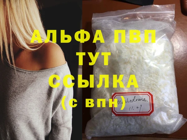 стаф Карпинск