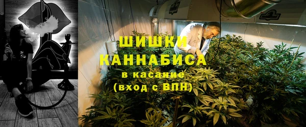 стаф Карпинск