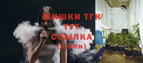 стаф Карпинск